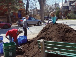 Joe Cressy (Ward 20, Trinity-Spadina) gets his hands dirty for Earth Day on April 22 by helping to fill buckets of compost that the city provides annually to local residents with gardens. Photo Brian Burchell, Gleaner News